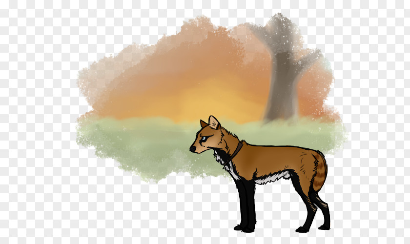 Dog Breed Dingo Red Fox Cartoon PNG