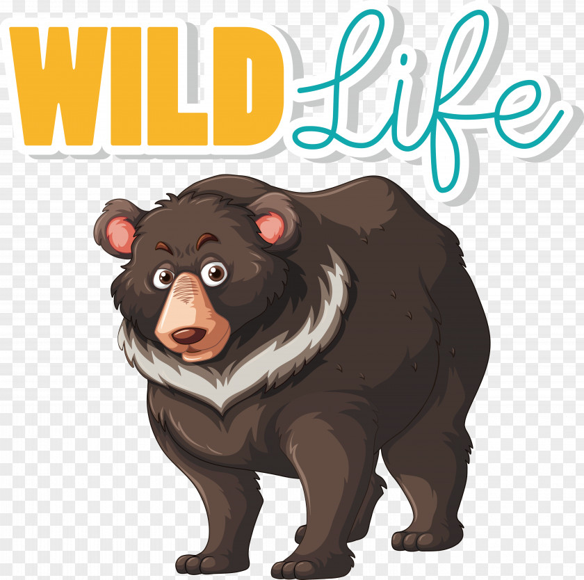 Grizzly Bear Bears Drawing Royalty-free Brown Bear PNG
