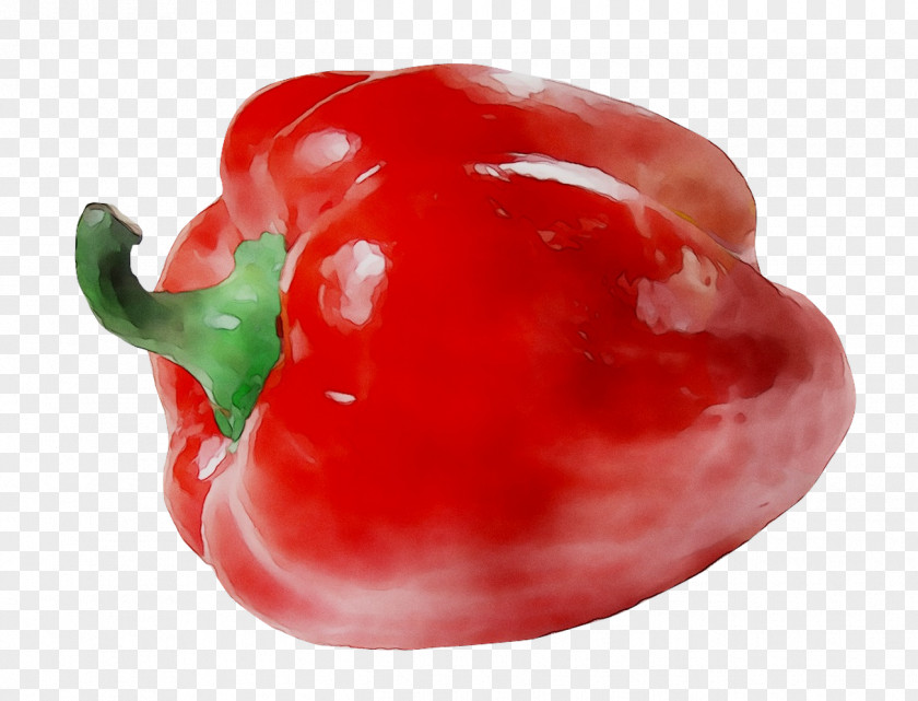 Habanero Piquillo Pepper Cayenne Tabasco Bell PNG