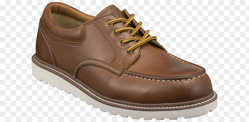Modern Lines Shoe REGAL CORPORATION C. & J. Clark Sneakers Geox PNG
