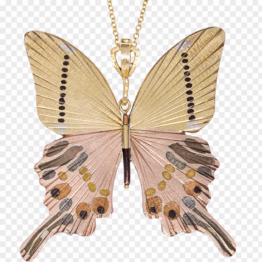 Necklace Charms & Pendants Moth PNG