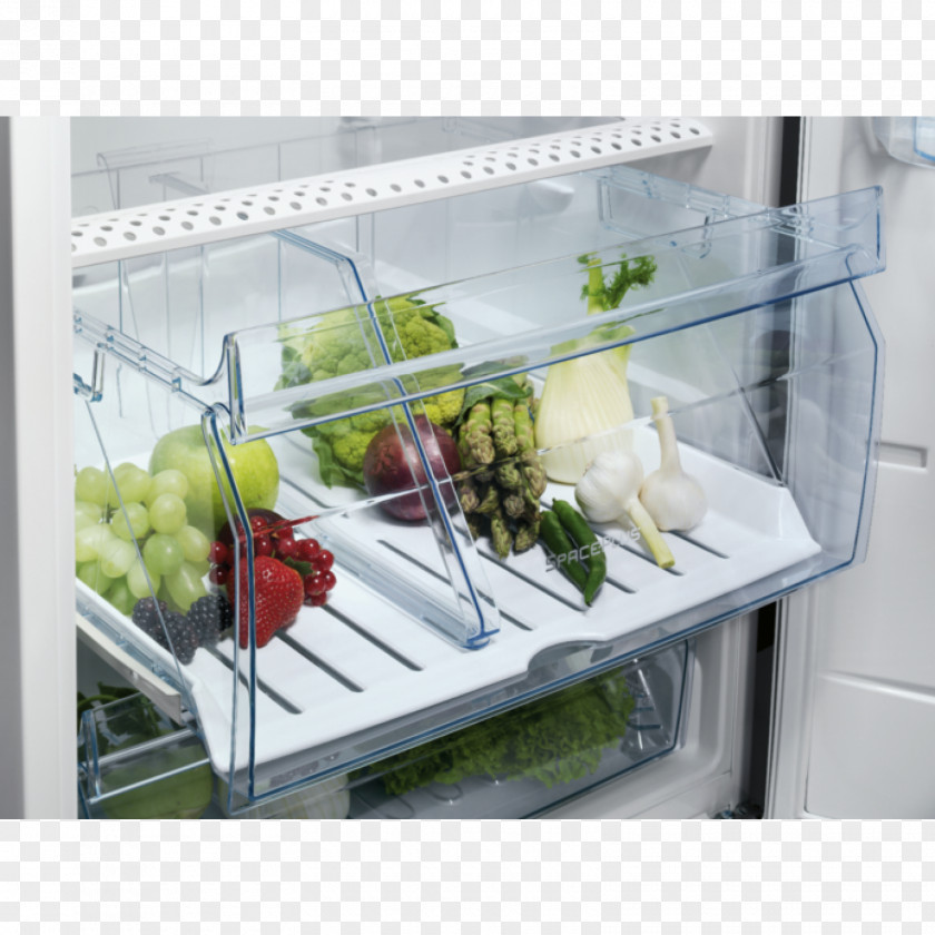 Refrigerator Electrolux ENN3153AOW Freezers Kitchen PNG