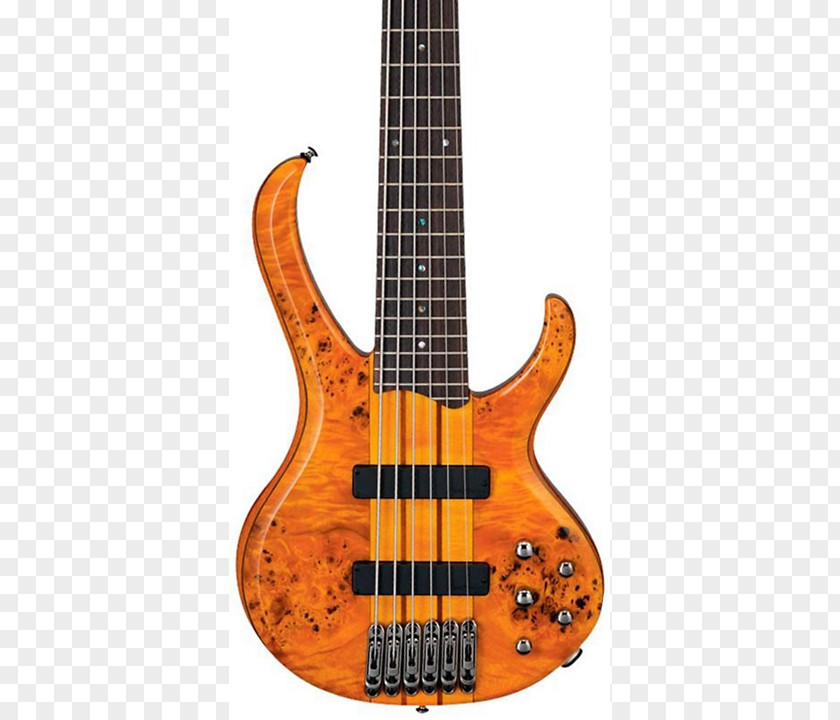 Bass Guitar Contrabass Electric Ibanez String Instruments PNG