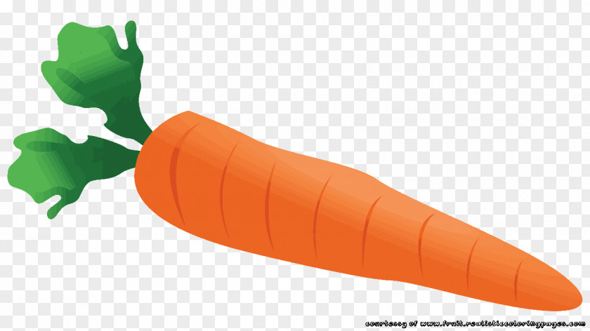 Carrot Juice Baby Vegetable Clip Art PNG