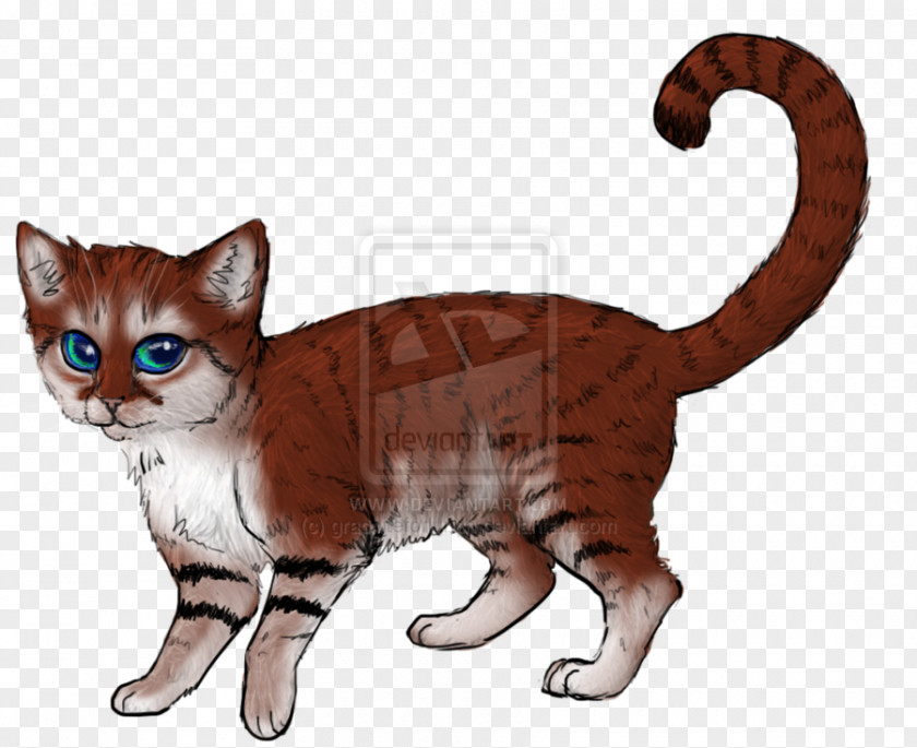 Cat Drawing Domestic Short-haired European Shorthair American Wirehair Whiskers Tabby PNG