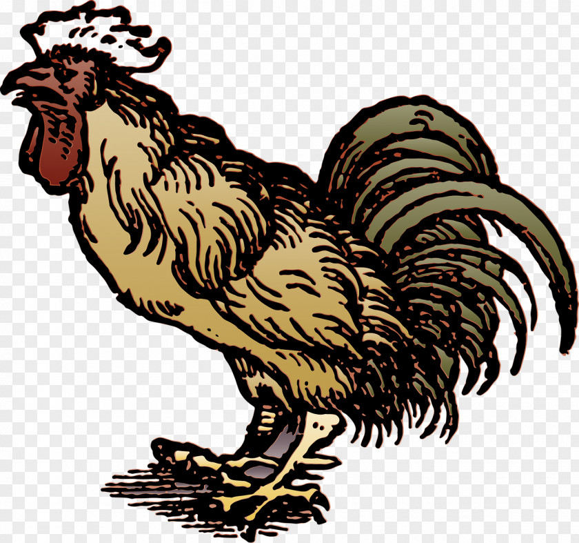 Cock Rooster Printing PNG