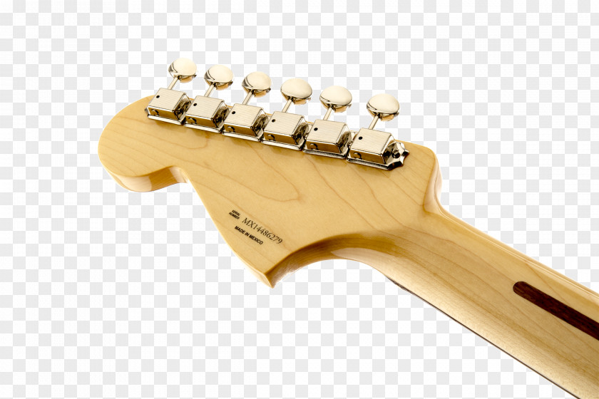 Rosewood Fender Stratocaster Telecaster Deluxe Jaguar Squier PNG