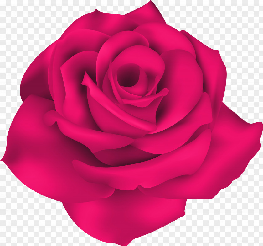 Singe Blue Rose Flower Clip Art PNG