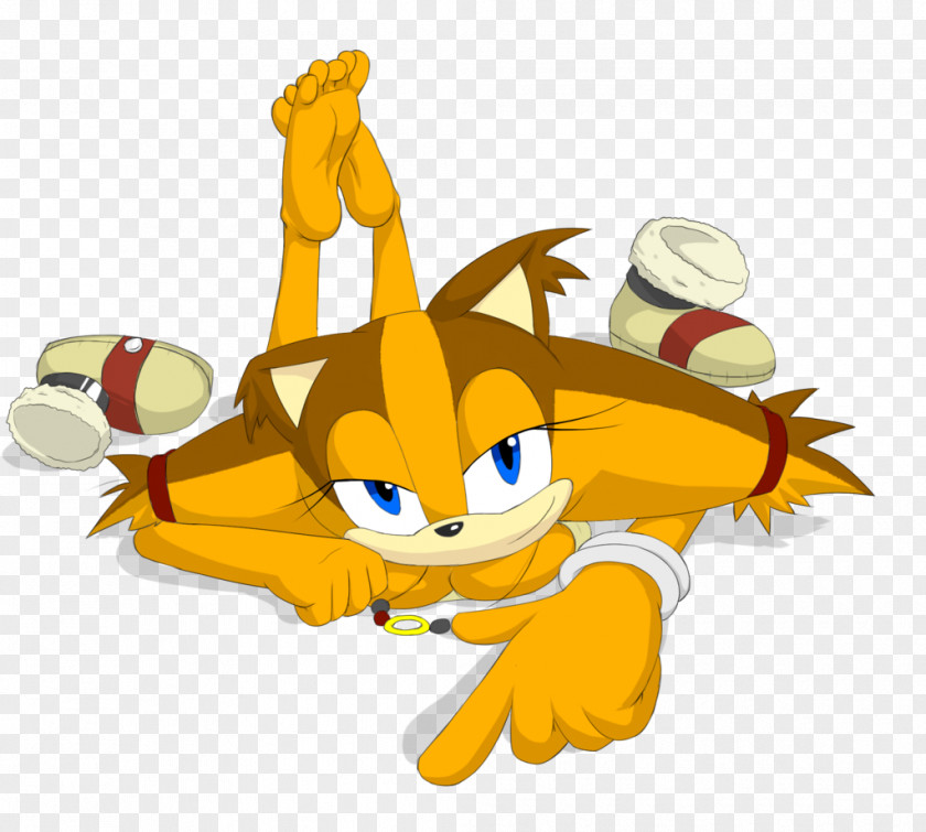 Sticks The Badger Sonic Boom Tails Foot Carnivora PNG