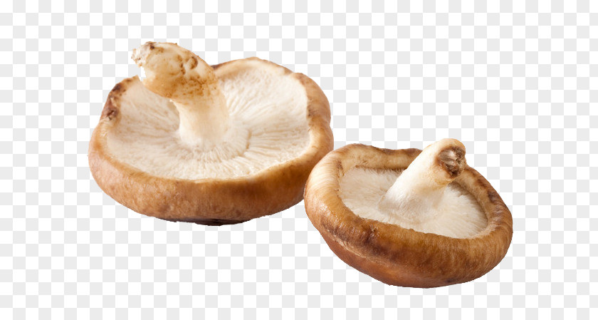 Two Mushrooms Chinese Cuisine Shiitake Food Eating Fungus PNG