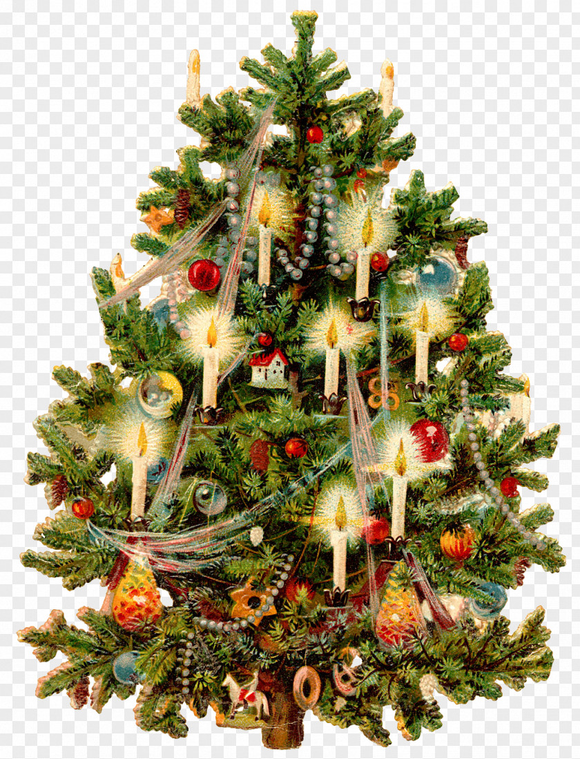 Christmas Victorian Era Tree Card Decoration PNG