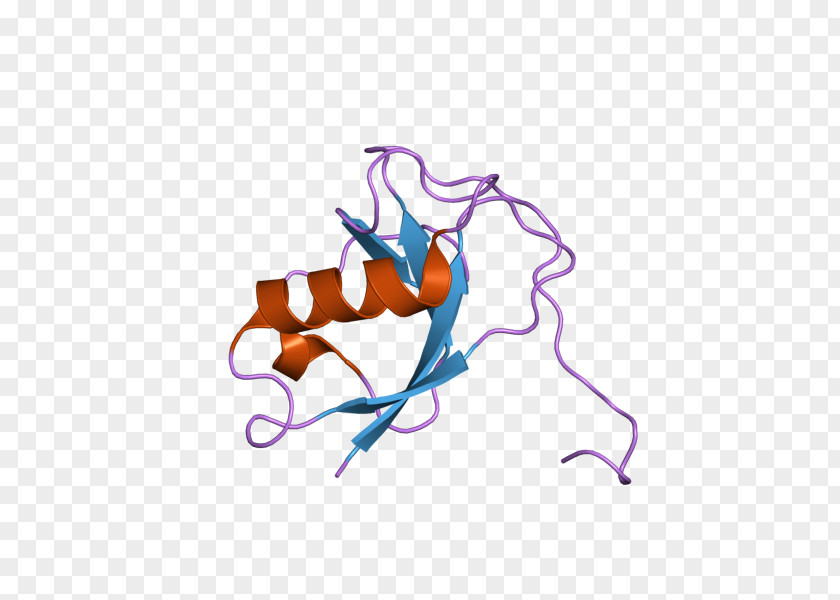 Doublecortina Dentate Gyrus Protein Neuron PNG