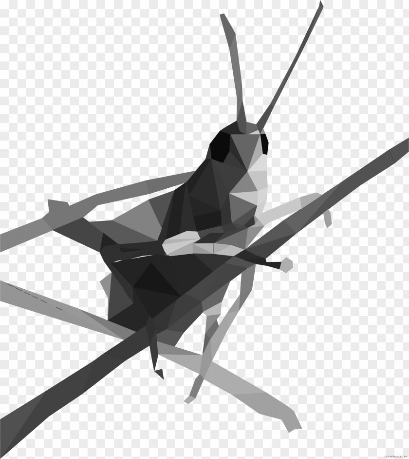 Grasshopper Clip Art Image Caelifera Download PNG