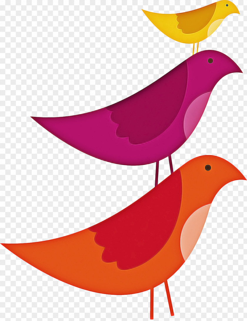 Perching Bird Songbird Orange PNG