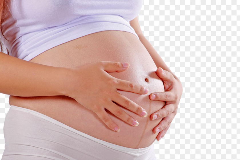 Pregnant Woman,belly,pregnancy,Mother,Pregnant Mother Pregnancy Woman Abdomen Linea Nigra PNG