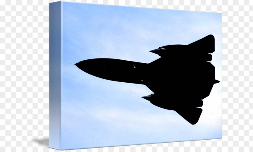 Airplane Lockheed SR-71 Blackbird Aviation Wing Silhouette PNG