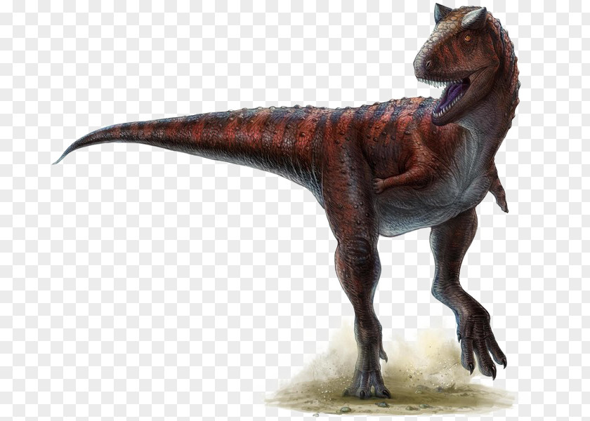 Dinosaur Carnotaurus Ceratosaurus Triceratops Horned Dinosaurs PNG