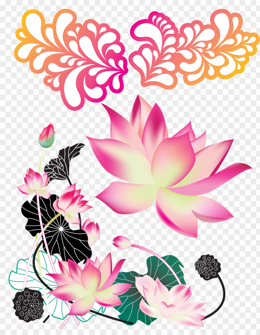 Floral Nelumbo Nucifera Lotus Effect PNG