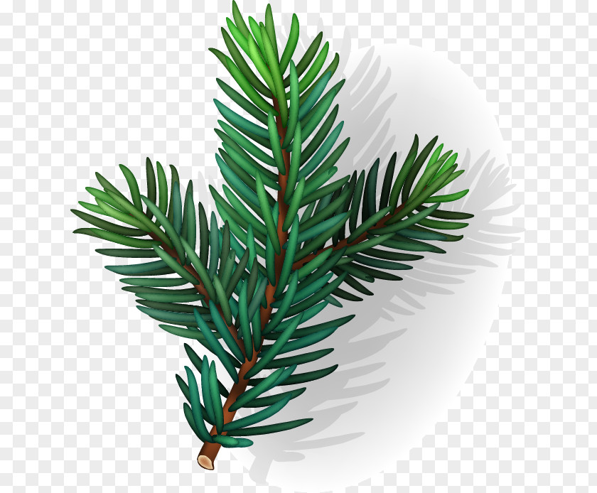 Hand-painted Conifer Leaf Pattern PNG