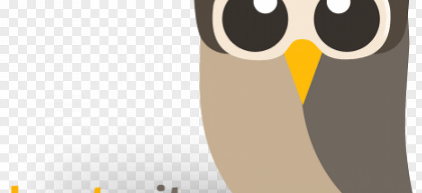 Owl @hootsuite Social Networking Service Facebook PNG