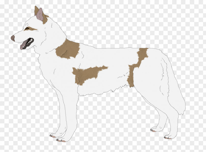 Siberian Husky Saarloos Wolfdog Czechoslovakian Canaan Dog East Laika PNG