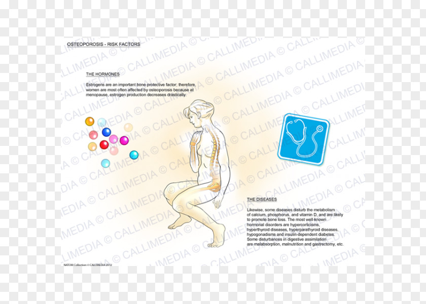 Design Homo Sapiens Human Behavior Logo Material PNG