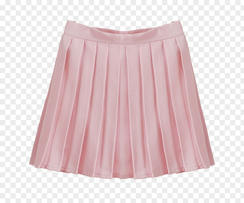 Dress Poodle Skirt Pink Clothing Denim PNG