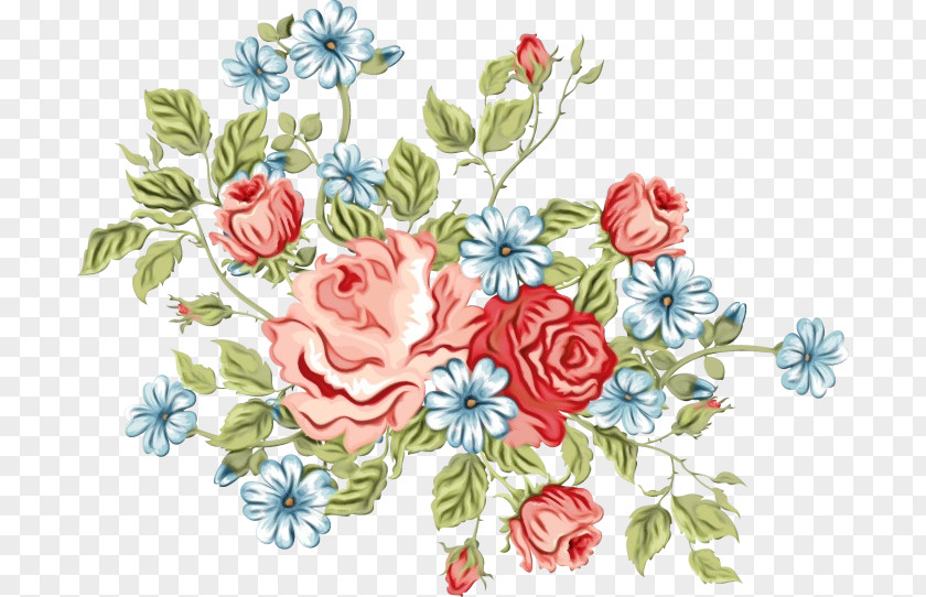 Floral Design Cabbage Rose Garden Roses Cut Flowers PNG