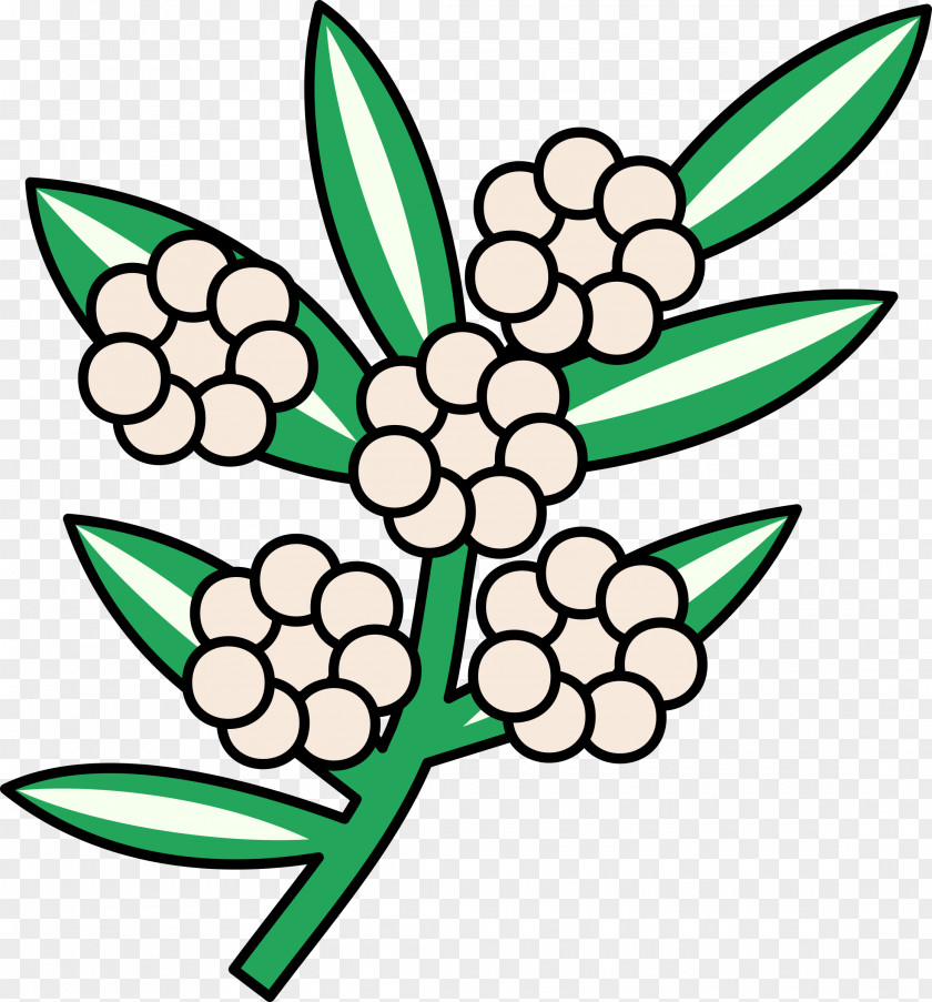 Flower Clip Art PNG