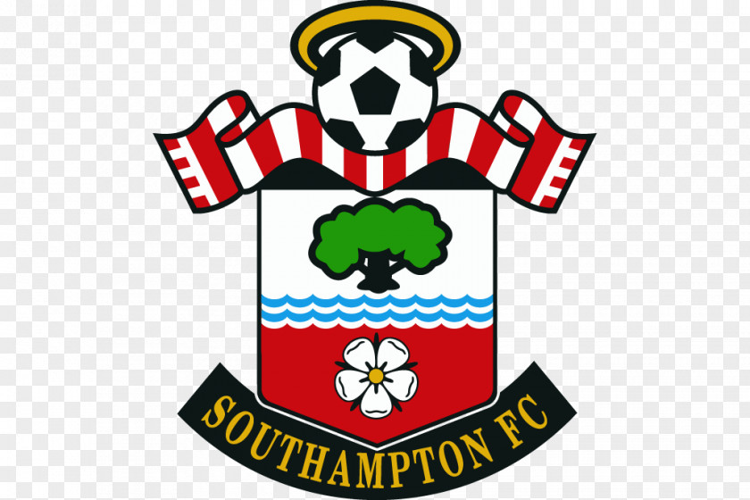 Football Southampton F.C. Fulham Burnley FC Vs Everton PNG