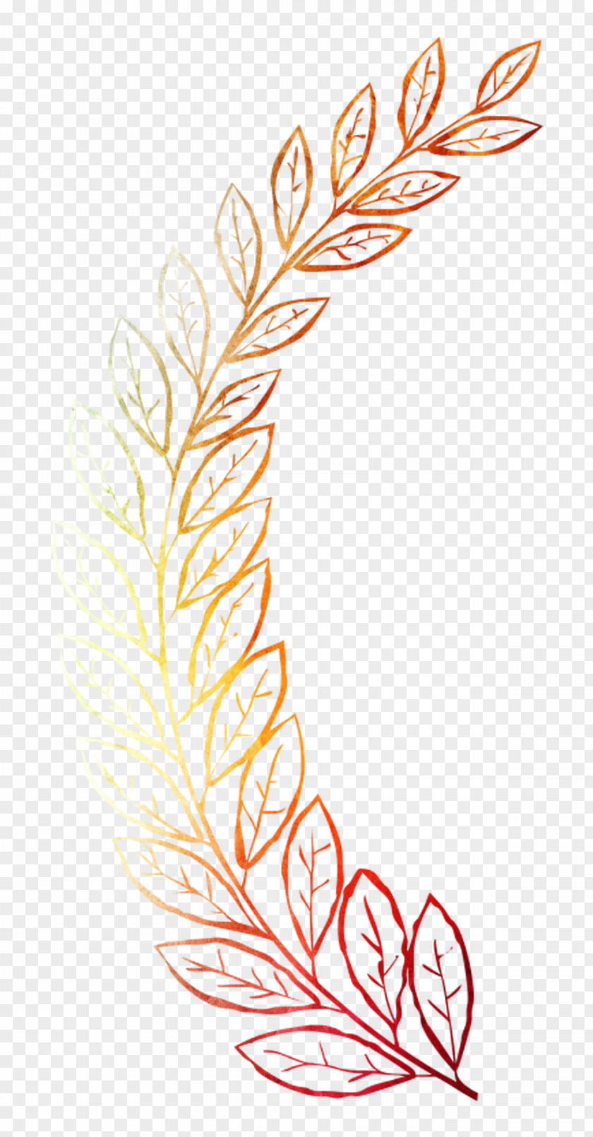 Illustration Clip Art Feather Pattern Line PNG
