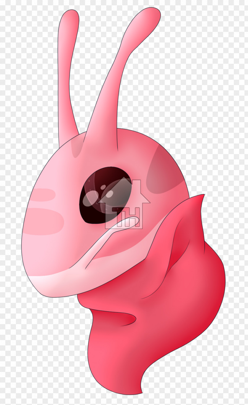 Nose Cartoon PNG