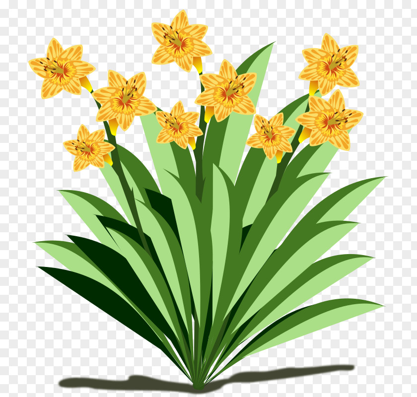 Open Flowers YouTube Clip Art PNG