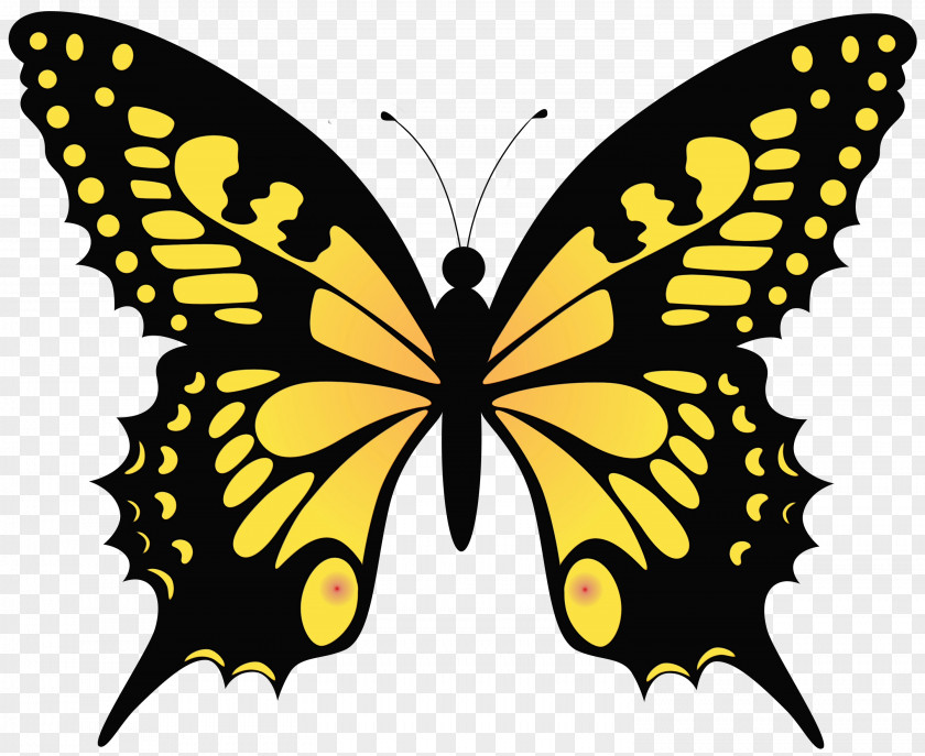Wing Yellow Watercolor Butterfly Background PNG