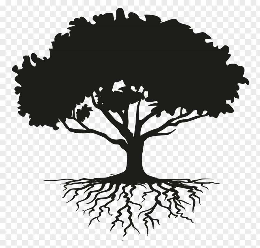 Zen Tree Drawing Root Clip Art PNG