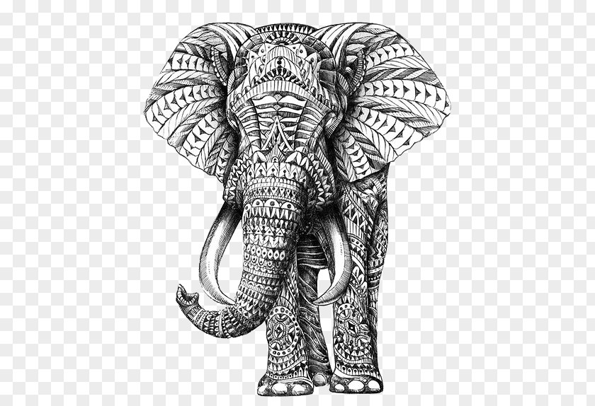 Elephant Drawing African Art PNG
