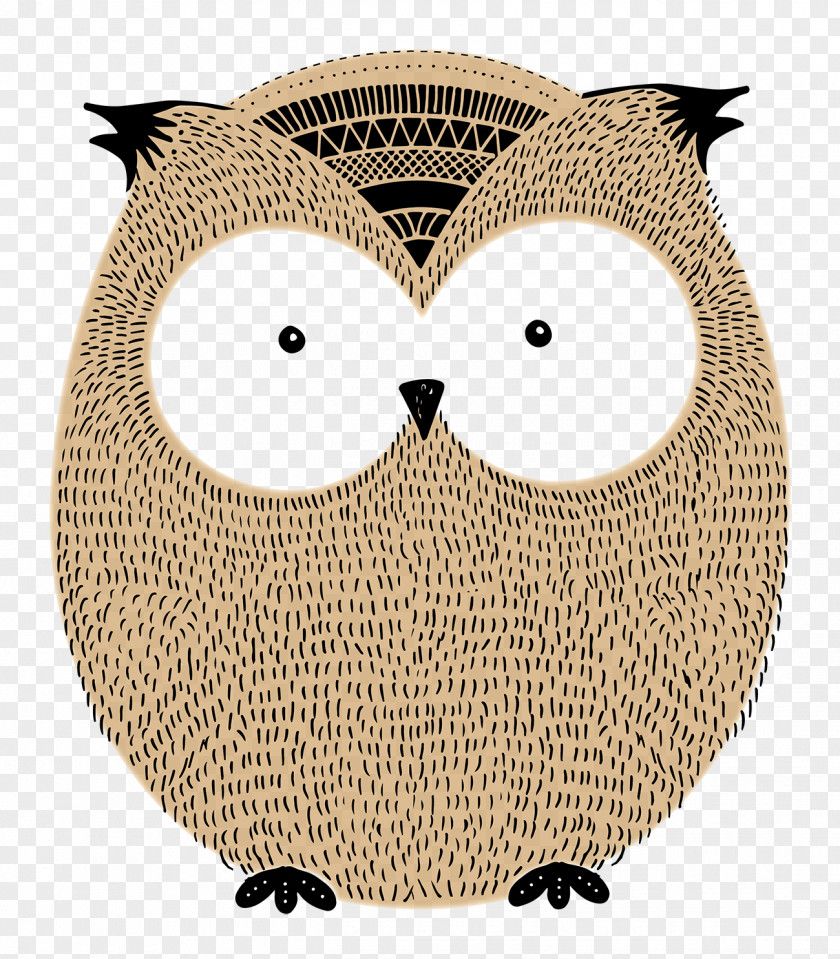 Owl Drawing Art Painting Illustration PNG