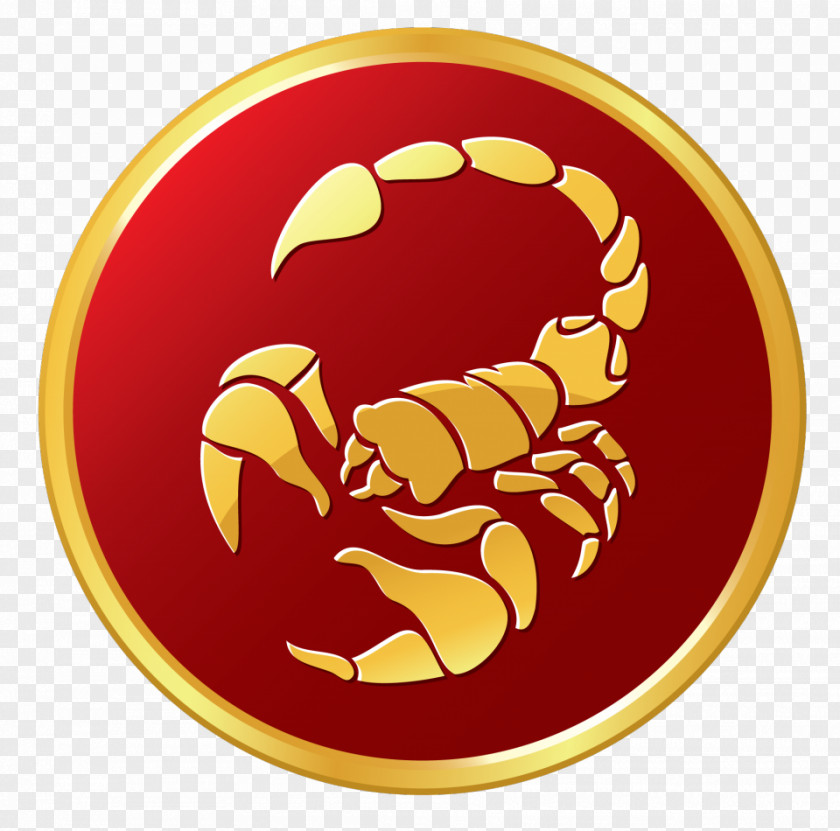 Scorpion Scorpio Astrological Sign Horoscope Sun Astrology PNG