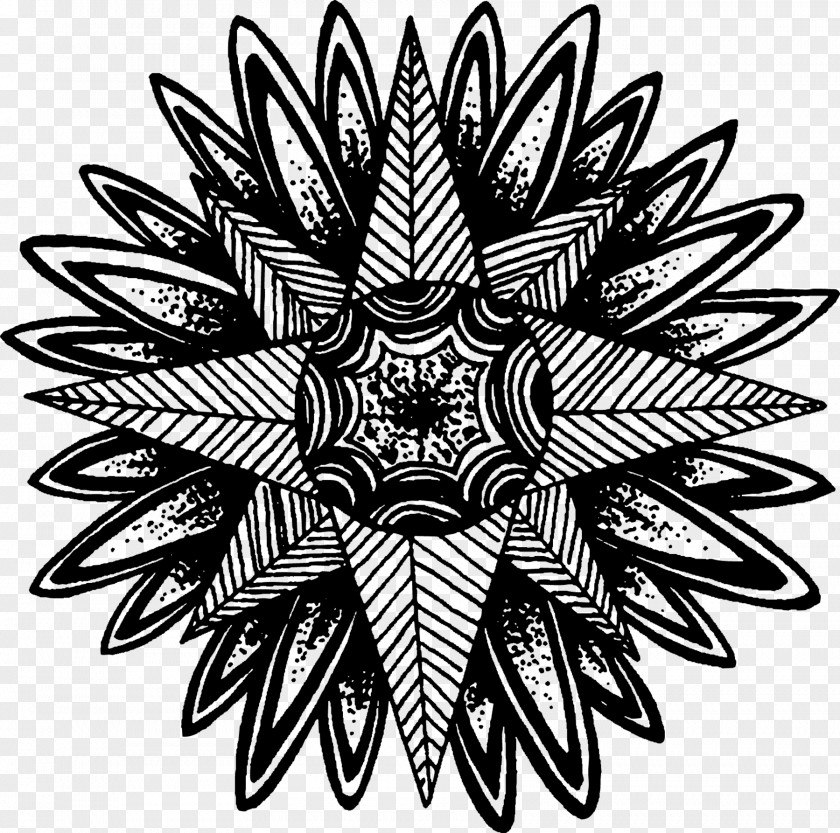Tattoo Emblem Flower Circle PNG