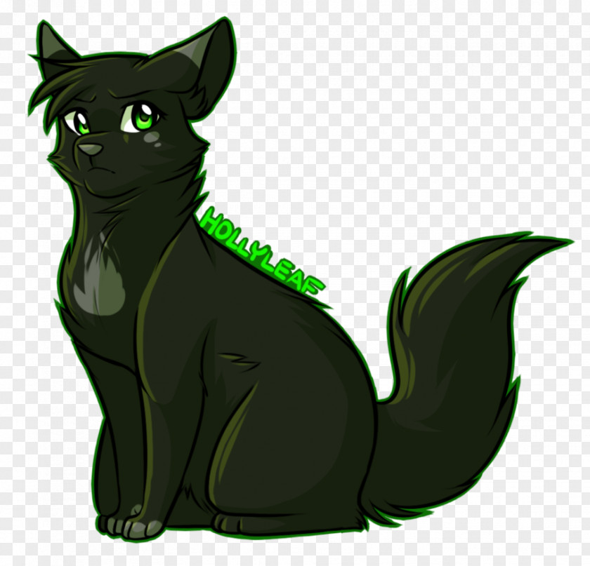 Cat Black Whiskers Warriors Drawing PNG