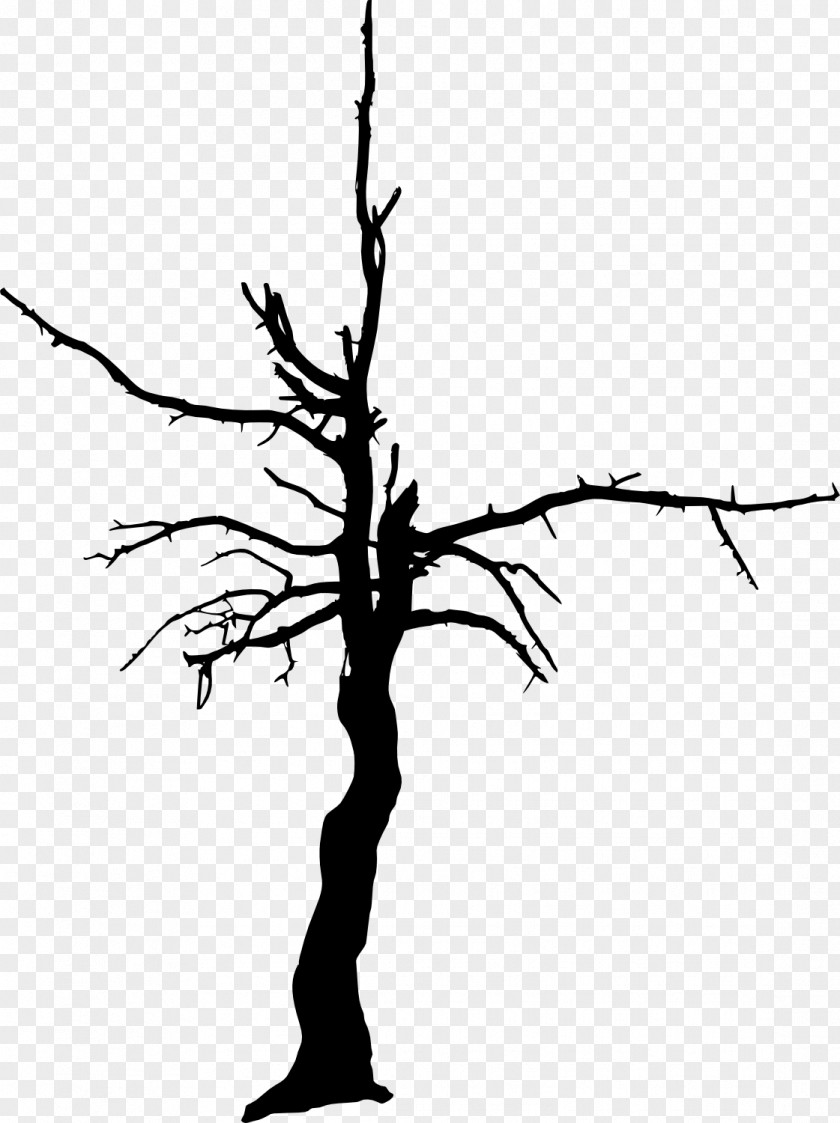 Dead Tree Woody Plant Clip Art PNG