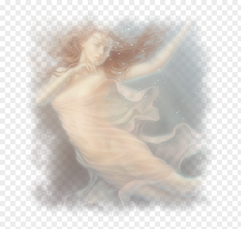 Fairy Stock Photography Sky Plc Angel M PNG