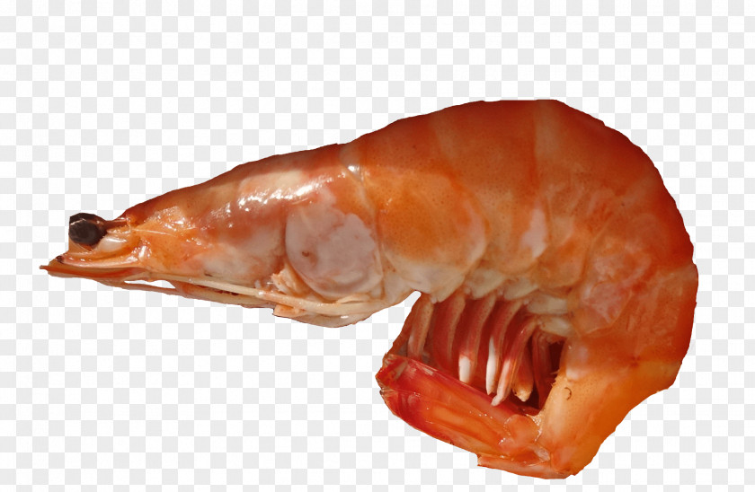 Gambas Fish PNG