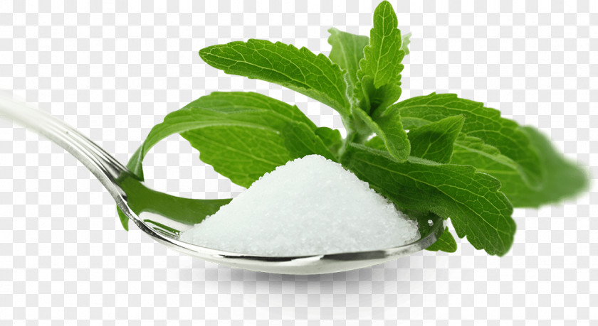 Health Stevia Steviol Glycoside Candyleaf Sugar Substitute PNG