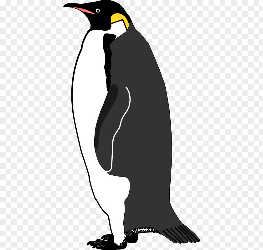Lovebirds Emperor Penguin Bird Vector Graphics Image PNG