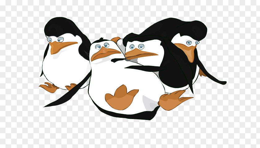 Oh Boy Penguin Clip Art Cartoon PNG