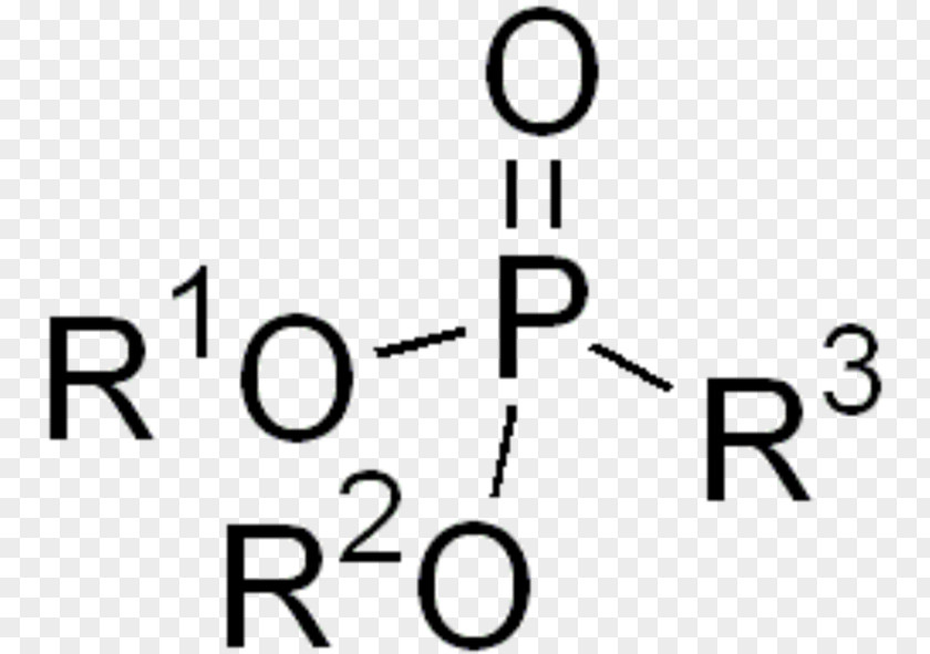 Phosphonate Carboxylic Acid Nerve Agent VX PNG