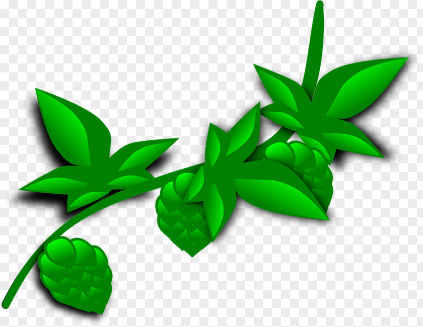 Plants Clip Art Openclipart Vector Graphics Image PNG
