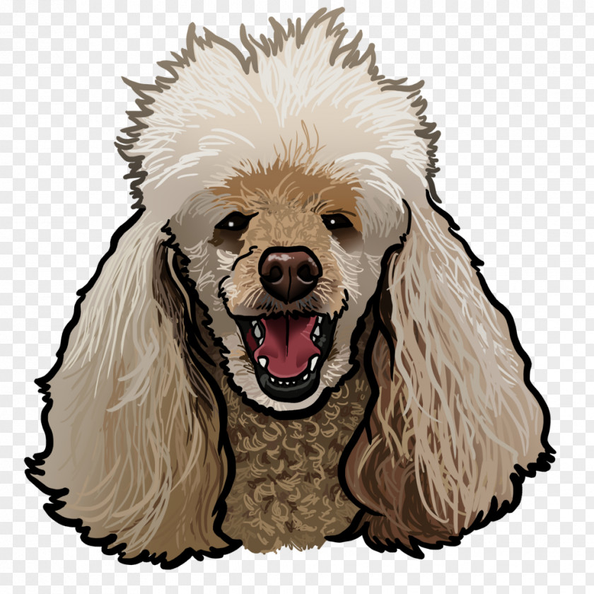 Puppy Miniature Poodle Standard Dog Breed PNG