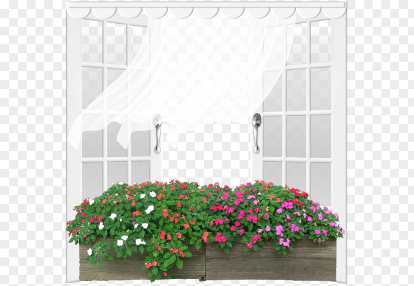 White Window Grow Light Flower Ornamental Plant PNG